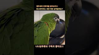 지구최강 앵무새 상추 #foryou #parrot #앵…