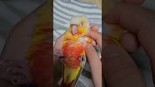 음~ 약강강~ 좋구나~♡                 …