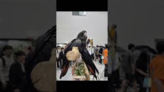 코리아애니멀포럼다녀오기#코리아애니멀포럼#kaf#목도리앵…