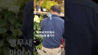 #앵무새랑 마트에서 장보기 #마트가 최고봉 시원하다앵~