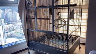 ??? 이게 어떻게 가능한거죠???