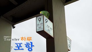 앵무새랑 대중교통으로 서울에서 포항 가기/앵무새 소음주의!!! 택시~타고 버스~타고 가야지/ 교통비 10만원든거 실화???