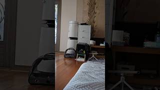 [퀘이커 앵무] 낮잠 #parrot #quakerparrot #budgerigar #낮잠시간 #사랑이 #까꿍이