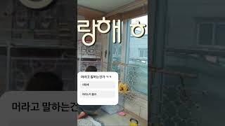 코뉴어 알록이는 머라고 말하는걸까 &quot;Guess…