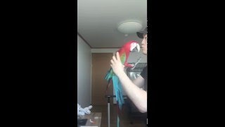 홍금강 타미와 뽀뽀뽀