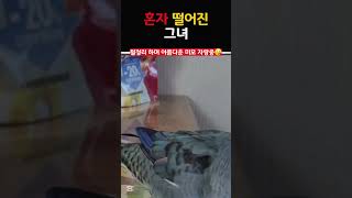 혼자 떨어진 그녀 #빗창앵무 #짱이