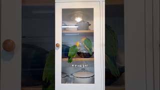 벌 받는 중에도 귀여운 카이큐~