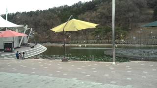 유아 이주현(동물원-플라워랜드1-2013-04-15-15)