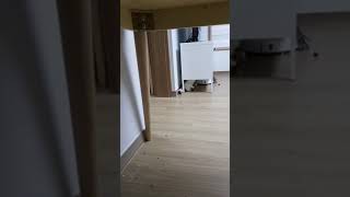 오기 싫은데 엄마가 부르니까 억지로 오는 앵무새 태식이…