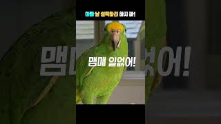 아빠 맴매!! 날 설득하려 하지마