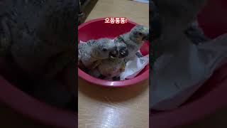 으헛 이쁘당 ㅎㅎ