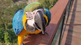 오늘 루피와 다녀온 산책