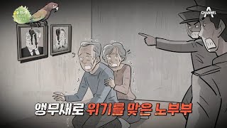 ※황당 사건※ 노부부가 키우던 앵무새가 김 부자 초상화…