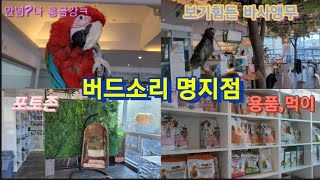 넓고 깨끗한 앵무새카페 버드소리 명지점