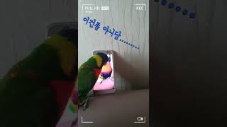 이건 영상 중간 애니 1