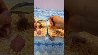 방금 부화한 청금강 첫째 앵무새와 새벽에 부화한 뉴기니…