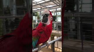 더워요 너무.. / 홍금강 아이스먹기