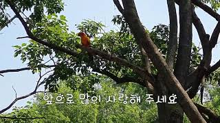 썬코뉴어와 함께하는 캠핑