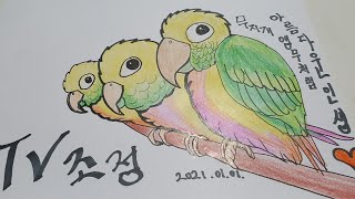 Rainbow parrot drawing 무지개 앵무새 그리기