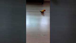 썬코뉴어 달려올때ㅋㅋㅋ