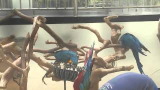 광주 동물원 새들