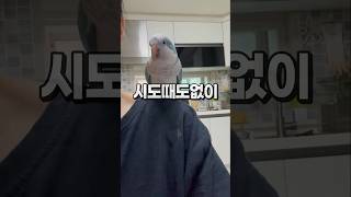 좌부리 우잠바  어쩌면 엄마는 그냥 횃대일 수 있다!!…