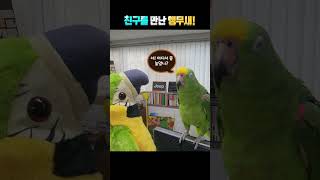 한~성깔하는 앵무새!