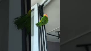 카이큐 등반 레벨 1