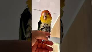 환타삐삐산책 후 목욕.                 #…