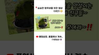 앵무새 워터파크 #말하는앵무새 #한스마카우