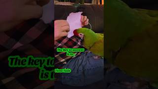 The key to #success, #focus on…