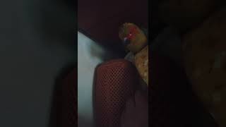 썬코뉴어 격어보니 구석을좋아하네요