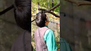 에버랜드 앵무새집 말따라하는 홍금강앵무  / Everl…