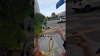 아랑이 똥줄 타네 ㅋㅋ 누나의장난은 힘들어 #아랑이 #…