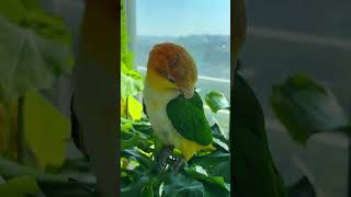 햇살아래 숨바꼭질