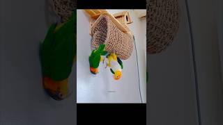 카이큐의 매력에 빠져 보아요