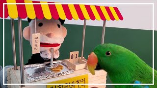 호떡을 호호 불어먹는 앵무새/호떡맛집 Miniature 포장마차