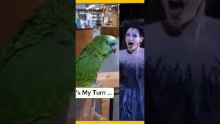 나도 성악가다!  앵무새의 성악실력 대단합니다 ❤️ #shorts #parrot #앵무새 성악가