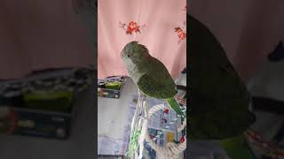 오늘 루야가 중얼거린 영상 모음