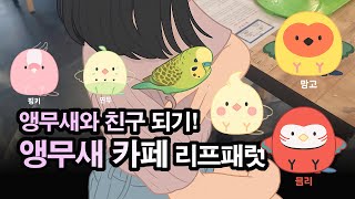 앵무새와 친구되기! 앵무새 카페 리프패럿
