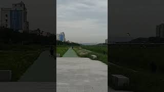 자유비행하는 마음이       #금강앵무 #마카우 #앵…