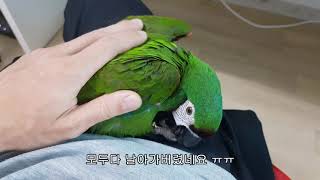 안녕하세요 오랜만입니다.~