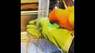 목욕하는 썬코뉴어