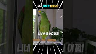 아빠~어디아퍼?