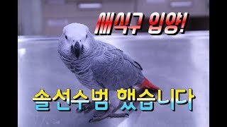 새식구를 입양했습니다