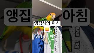 환타삐삐네 아침풍경 .                #카…