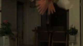 소망이와 사랑이의 야간비행(코뉴어)(사랑앵무)