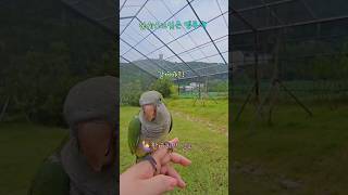 친구들은 다 집에가고 혼자있긴 싫은 마리 #인내심폭팔 …