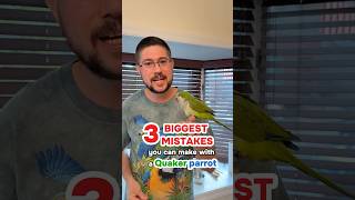 3 Biggest Mistakes You Can Mak…