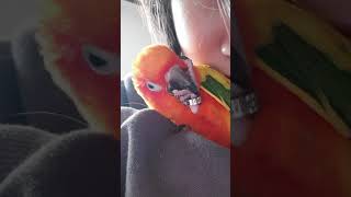 턱 괴고 고뇌하는 썬코뉴어